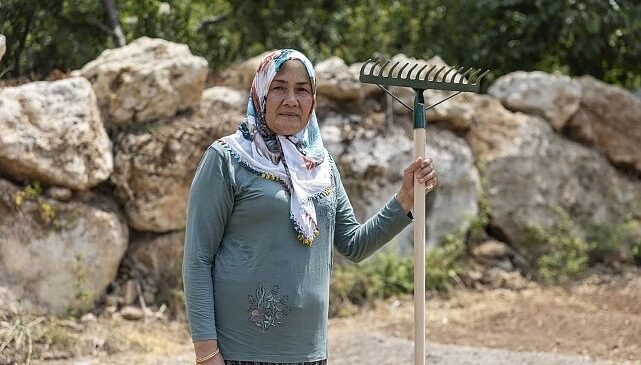 Yenişehir’de Safran Üretimi Yaygınlaşıyor