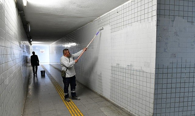 Çiğli’de Sonbahar Estetiği: Ağaç Budama ve Alt Geçit Yenileme